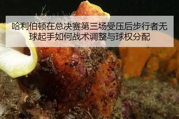 ha-li-bo-dun-zai-zong-jue-sai-di-san-chang-shou-ya-hou-bu-xing-zhe-wu-qiu-qi-shou-ru-he-zhan-shu-tiao-zheng-yu-qiu-quan-2-169.jpg