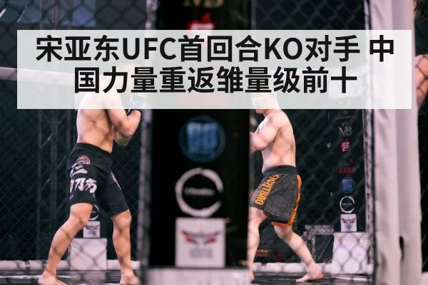 宋亚东UFC首回合KO对手 中国力量重返雏量级前十