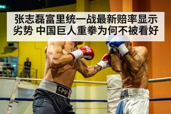 张志磊富里统一战最新赔率显示劣势 中国巨人重拳为何不被看好